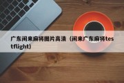 广东闲来麻将图片高清（闲来广东麻将testflight）