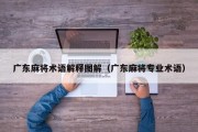 广东麻将术语解释图解（广东麻将专业术语）