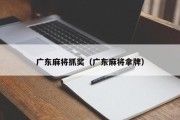 广东麻将抓奖（广东麻将拿牌）