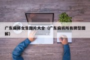 广东麻将女生图片大全（广东麻将所有牌型图解）