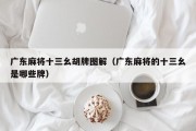 广东麻将十三幺胡牌图解（广东麻将的十三幺是哪些牌）