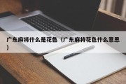 广东麻将什么是花色（广东麻将花色什么意思）