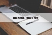 黄喉养殖场（黄喉鹀饲养）