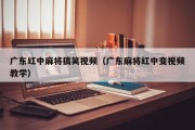 广东红中麻将搞笑视频（广东麻将红中变视频教学）