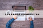 广东汕尾海丰抓麻将（汕尾哪里可以打麻将）