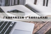 广东麻将大哥怎么胡（广东麻将什么叫大胡）