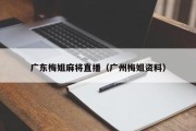 广东梅姐麻将直播（广州梅姐资料）