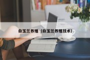白玉兰养殖（白玉兰养殖技术）
