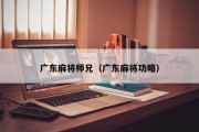 广东麻将师兄（广东麻将功略）
