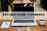 看高手打麻将广东太湖牌（广东大湖麻将玩法）