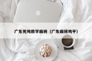 广东死鸡教学麻将（广东麻将鸡平）