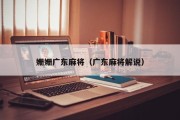姗姗广东麻将（广东麻将解说）