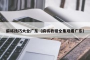 麻将技巧大全广东（麻将教程全集观看广东）