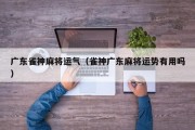 广东雀神麻将运气（雀神广东麻将运势有用吗）