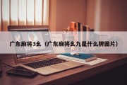 广东麻将3幺（广东麻将幺九是什么牌图片）