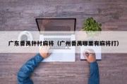 广东番禺钟村麻将（广州番禺哪里有麻将打）
