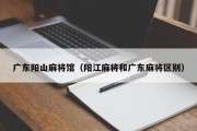 广东阳山麻将馆（阳江麻将和广东麻将区别）