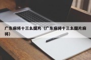 广东麻将十三幺图片（广东麻将十三幺图片麻将）