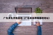 广东黑鱼养殖基地（广东黑鱼养殖基地地址）