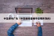 中至麻将广东（中至麻将是哪个公司开发的）