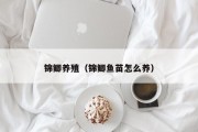 锦鲫养殖（锦鲫鱼苗怎么养）