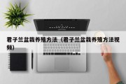 君子兰盆栽养殖方法（君子兰盆栽养殖方法视频）