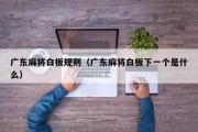 广东麻将白板规则（广东麻将白板下一个是什么）