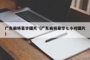 广东麻将豪华图片（广东麻将豪华七小对图片）