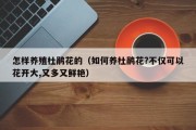 怎样养殖杜鹃花的（如何养杜鹃花?不仅可以花开大,又多又鲜艳）