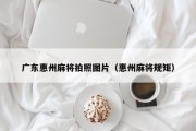广东惠州麻将拍照图片（惠州麻将规矩）